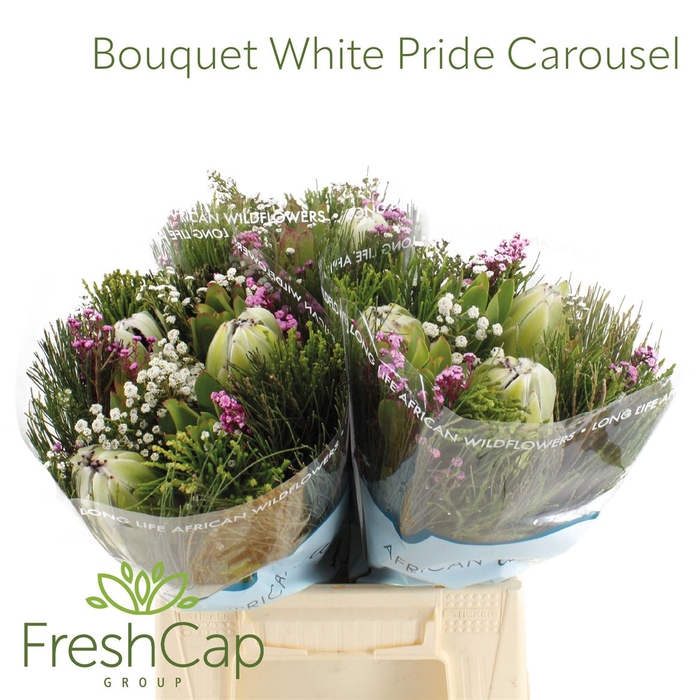 <h4>Bouquet White Pride Carousel</h4>