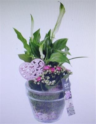 <h4>4961 Roze Pot Zwaar</h4>