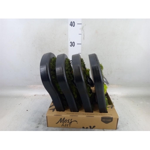 Decoratieve materialen ...H%