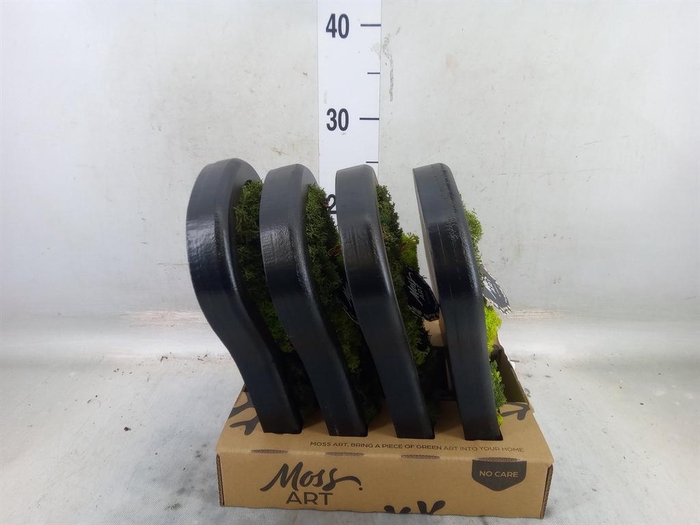 <h4>Decoratieve materialen   ...H%</h4>