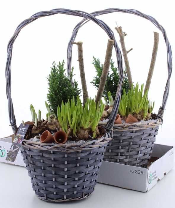 <h4>ARR PL IN SCHAAL</h4>