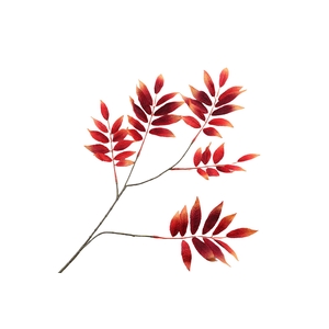 Leaf Branch Burgundy