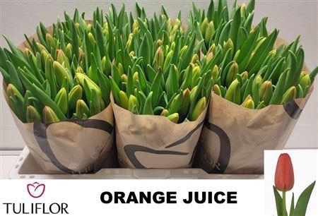 Tu En Orange Juice