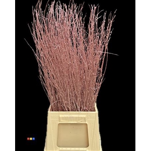 Betula / Berkentak Metallic Pink