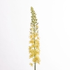 AF Eremurus L107cm Yellow