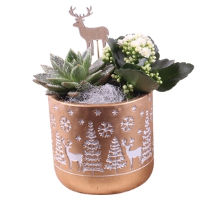 Christmas Arr.Indoor Ceramic Pot round landscape gold ø14cm 2PP