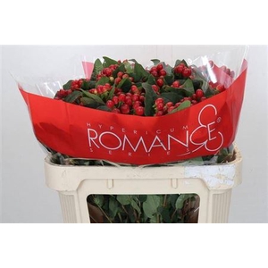 Hyp True Romance Spray