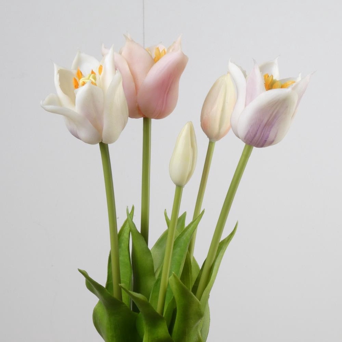 <h4>AF Tulip Bundle x5 L45cm Mix L</h4>