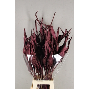 DF Strelitzia Leaf Metal Bord.