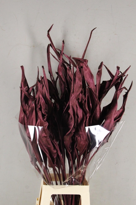 <h4>DF Strelitzia Leaf Metal Bord.</h4>