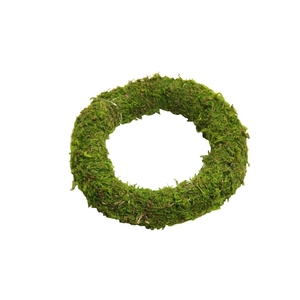 Wr Asia Moss 15cm Green