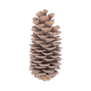 Pinecone Sugar Wax Sugared Slv L35