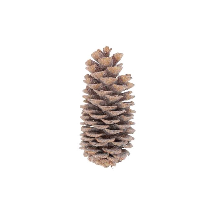 <h4>Pinecone Sugar Wax Sugared Slv L35</h4>