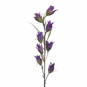 AF Campanula L94cm Purple