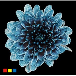 Chr T Altaj Navy Blue