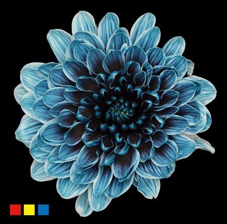 <h4>Chr T Altaj Navy Blue</h4>