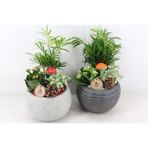 arr2 PL - Ker. bolpot ribbel - rood/wit