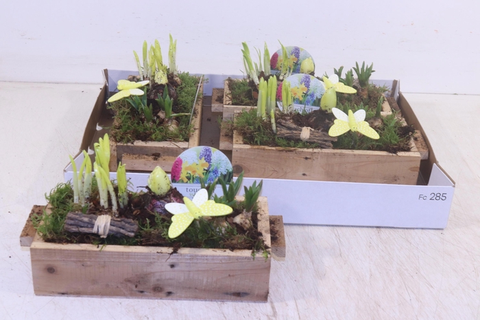 <h4>ARR BOL KNOLGEWAS</h4>