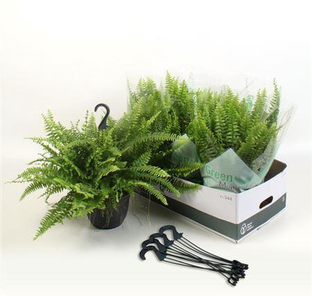 <h4>Nephr Ex Green Momen Hangpot</h4>