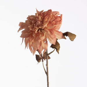 AF Dahlia Dried L74cm Peach