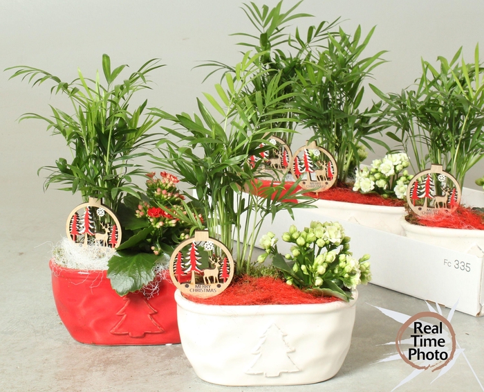 <h4>ARR KAMERPL</h4>