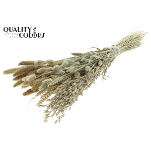 Dried Flower mix bunch Natural