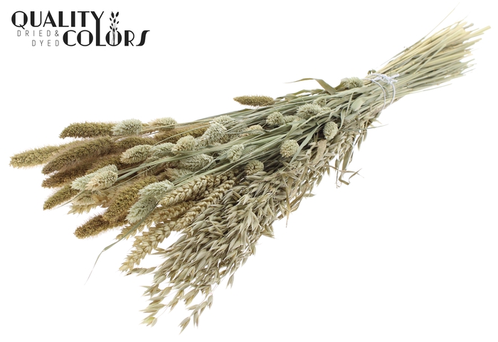<h4>Dried Flower mix bunch Natural</h4>