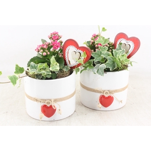 arr2 JS - Ker. pot white touw x6 - roze