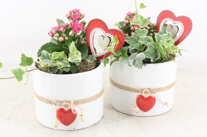 <h4>arr2 JS - Ker. pot white touw x6 - roze</h4>