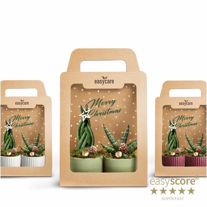 <h4>Christmas 2-pack p7</h4>