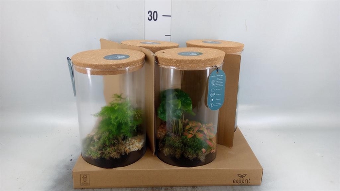 <h4>Arr.    Planten  H%</h4>