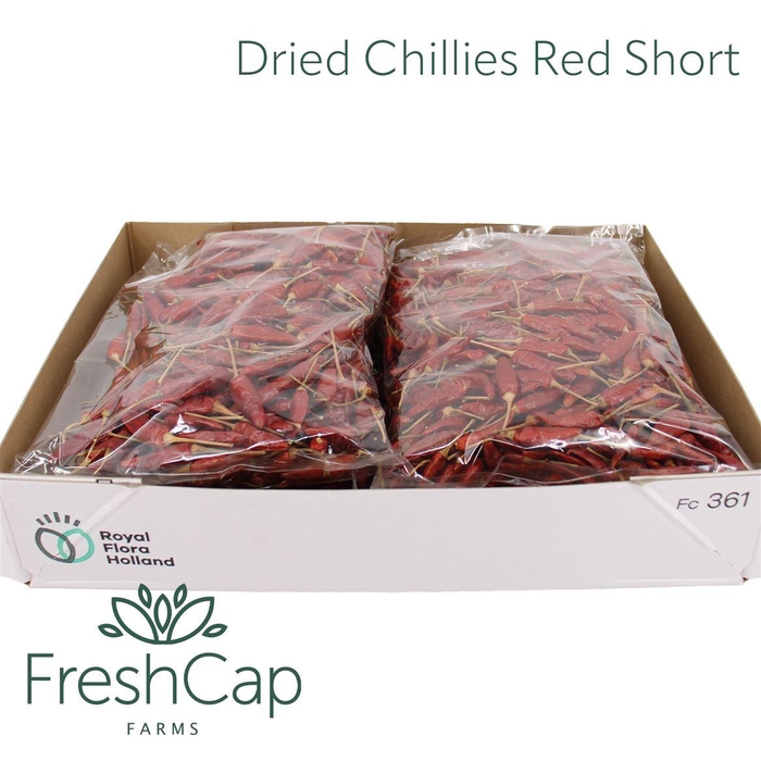 <h4>Dried Chillies Red Short</h4>