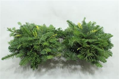 <h4>28cm Groenschaal</h4>