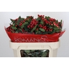 Hypericum True Romance Spray