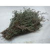 THYMUS WILD 400