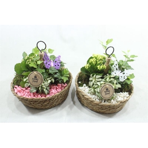 4422 MAND ETAGIERE ROZE.WIT