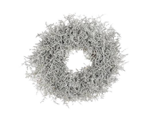 Wreath Asparagus Wax D40