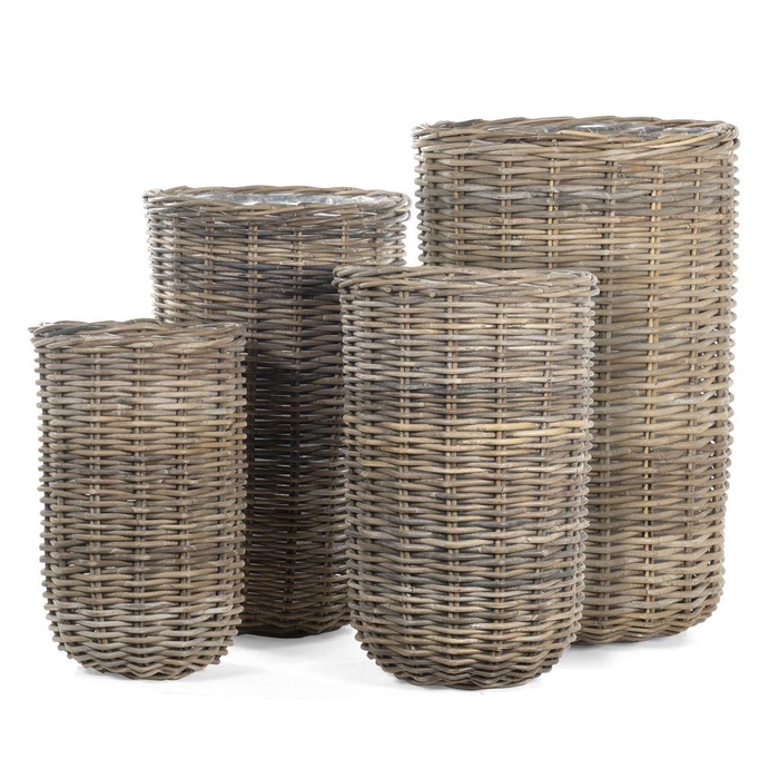 <h4>Mand   ...H%</h4>