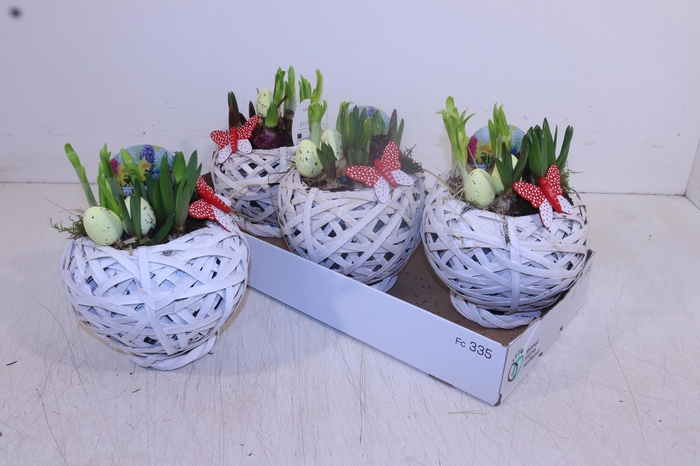 <h4>ARR BOL KNOLGEWAS</h4>