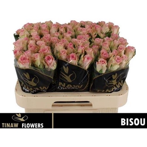 R Gr Bisou
