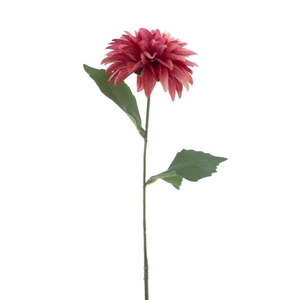 Dahlia spray Malang beauty 63cm