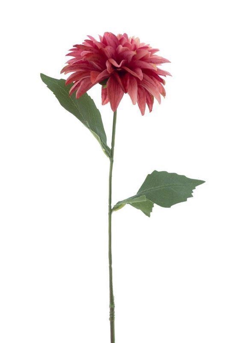 <h4>Dahlia spray Malang beauty 63cm</h4>