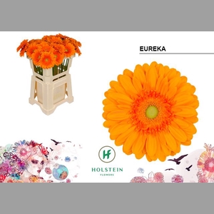 GE GR EUREKA
