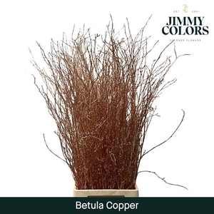 Betula L120 Mtlc Copper