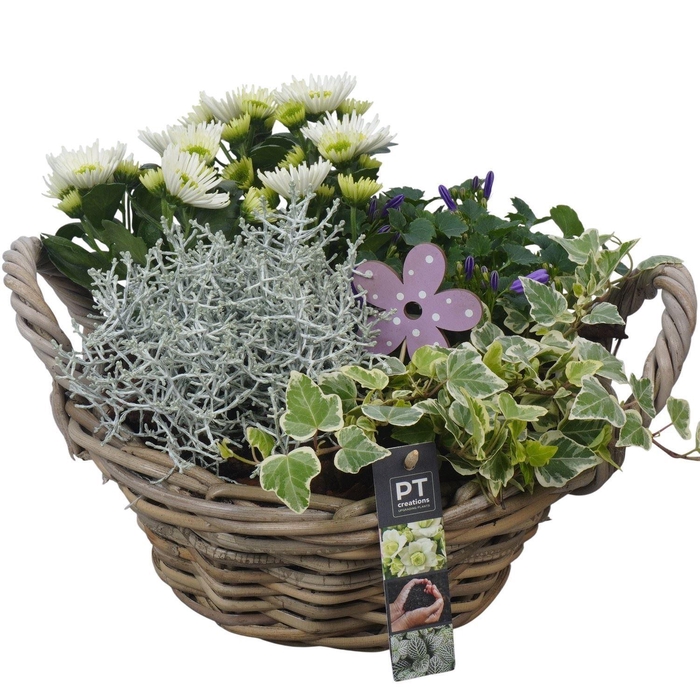 <h4>Arr. Tuinplanten H%</h4>