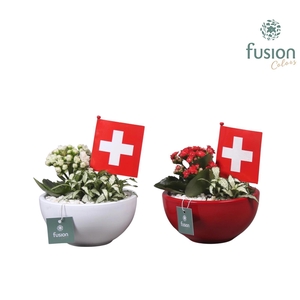 Keramiek pot met arrangement en de vlag van Zwitserland