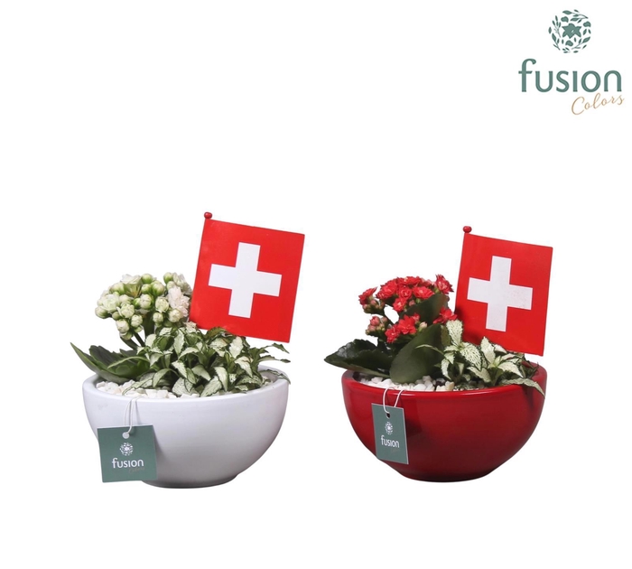 <h4>Keramiek pot met arrangement en de vlag van Zwitserland</h4>