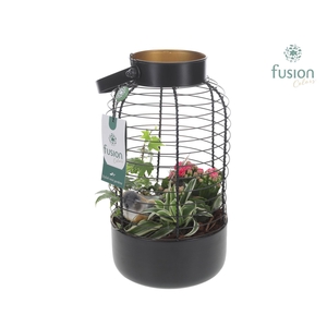 Lantaarn metaal met arrangement