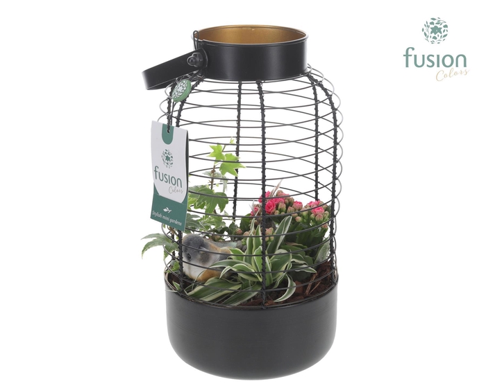 <h4>Lantaarn metaal met arrangement</h4>