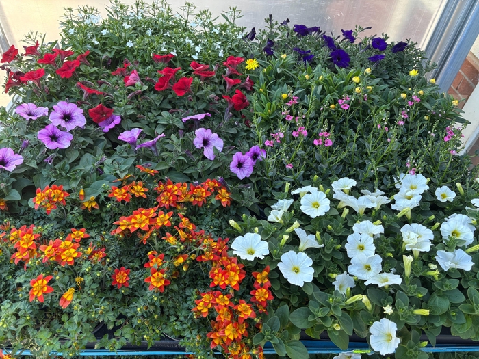 <h4>PERKPL MIXK</h4>